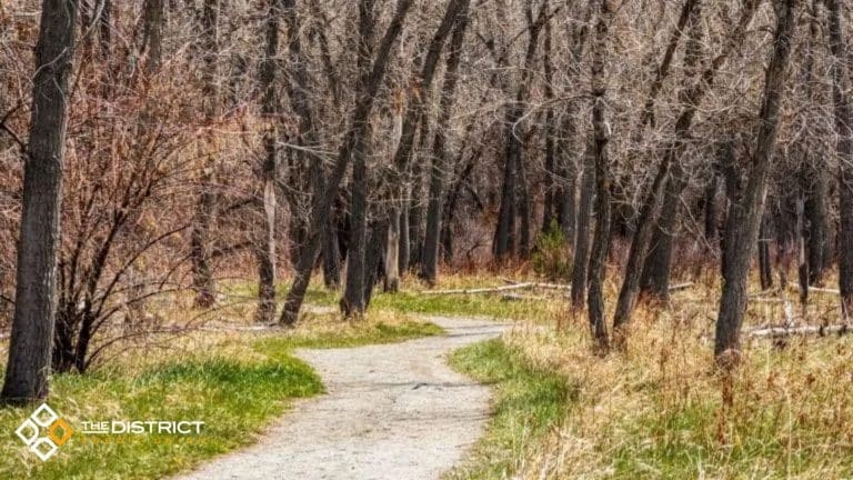 Exploring Aurora Top 5 Parks and Natural Areas