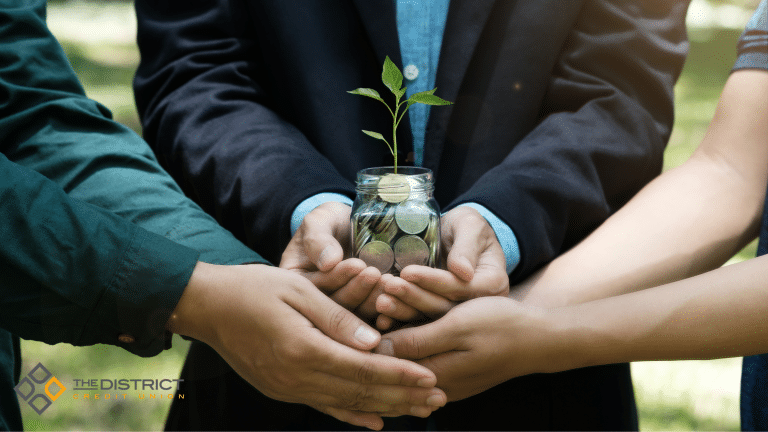 Investment Account Options at Credit Unions