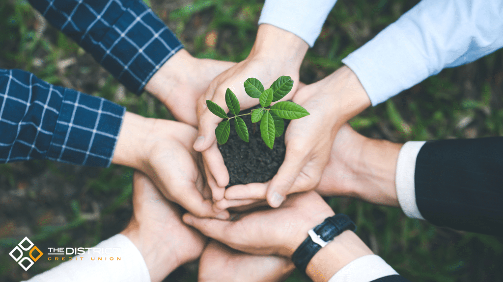 What is the Member-Ownership Model