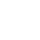 icons8-budget-100 (1)